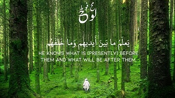 أية الكرسي القارئ إسلام صبحي تلاوة هادئة 💚#اسلام_صبحي