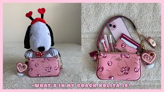 Coach cherry nolita 19🍒💖 (What fits, Mod shots, Review)