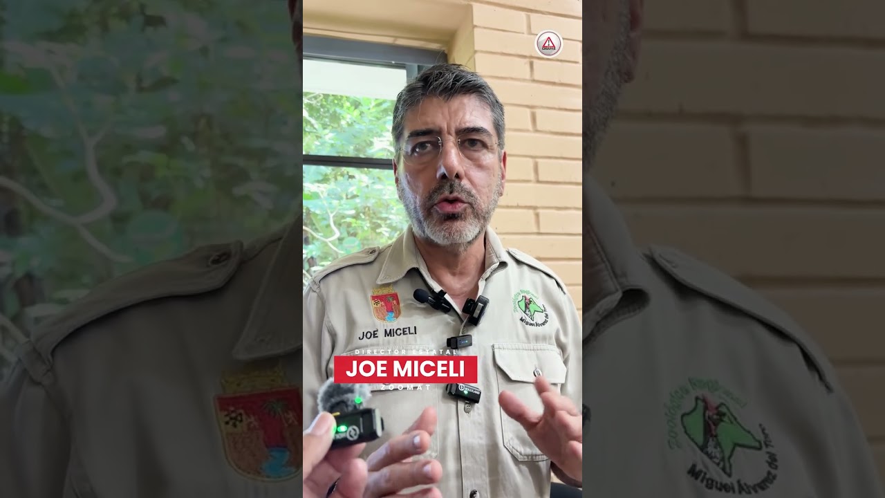 Confirman dos casos de influenza aviar en reserva ecológica