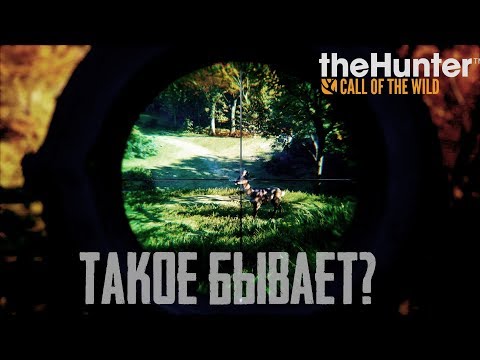 Куда стрелять косуле? | The Hunter: Call of the Wild