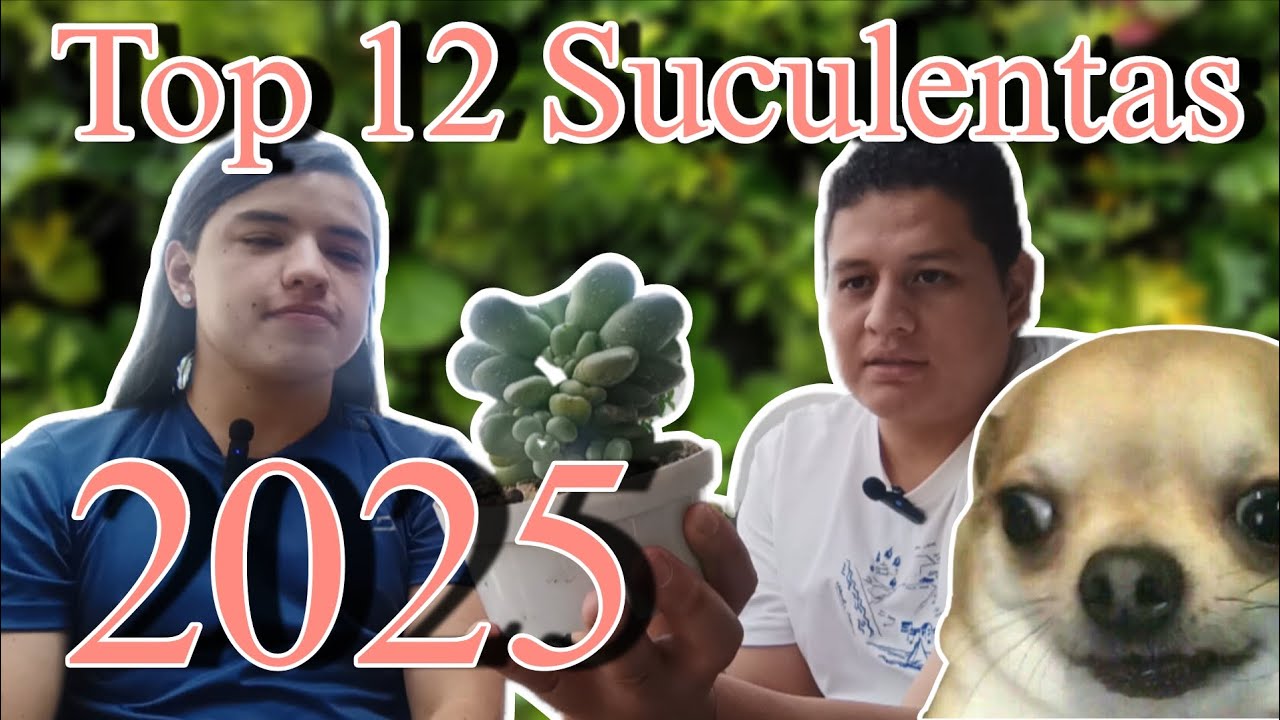 Las mejores Suculentas del 2025!😍/@PachyAmor 