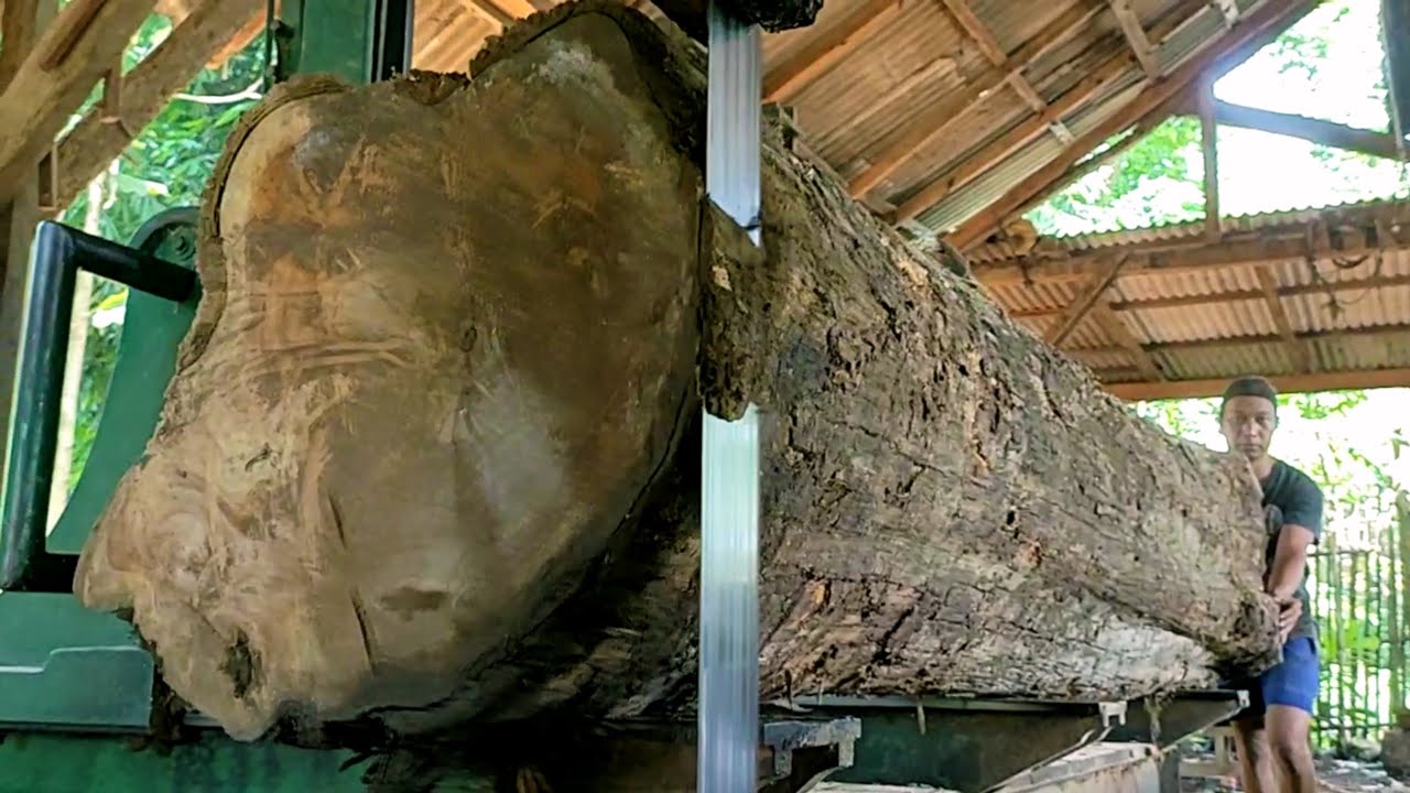 The extraordinary wood sawing process - YouTube