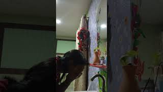 Bramhacharya🔥Day-38 @Satvik_Bliss #shorts#youtubeshorts#viral#discipline#treding#morning#calm