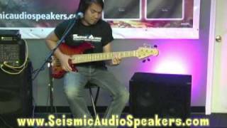 Seismic Audio Speakers SA-310 Bass Cabinet Review