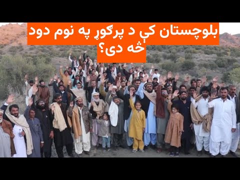 د ژوب او شېرانیو ولسونو د ځنګلونو او ژویو ساتلو هوډ کړی دی 