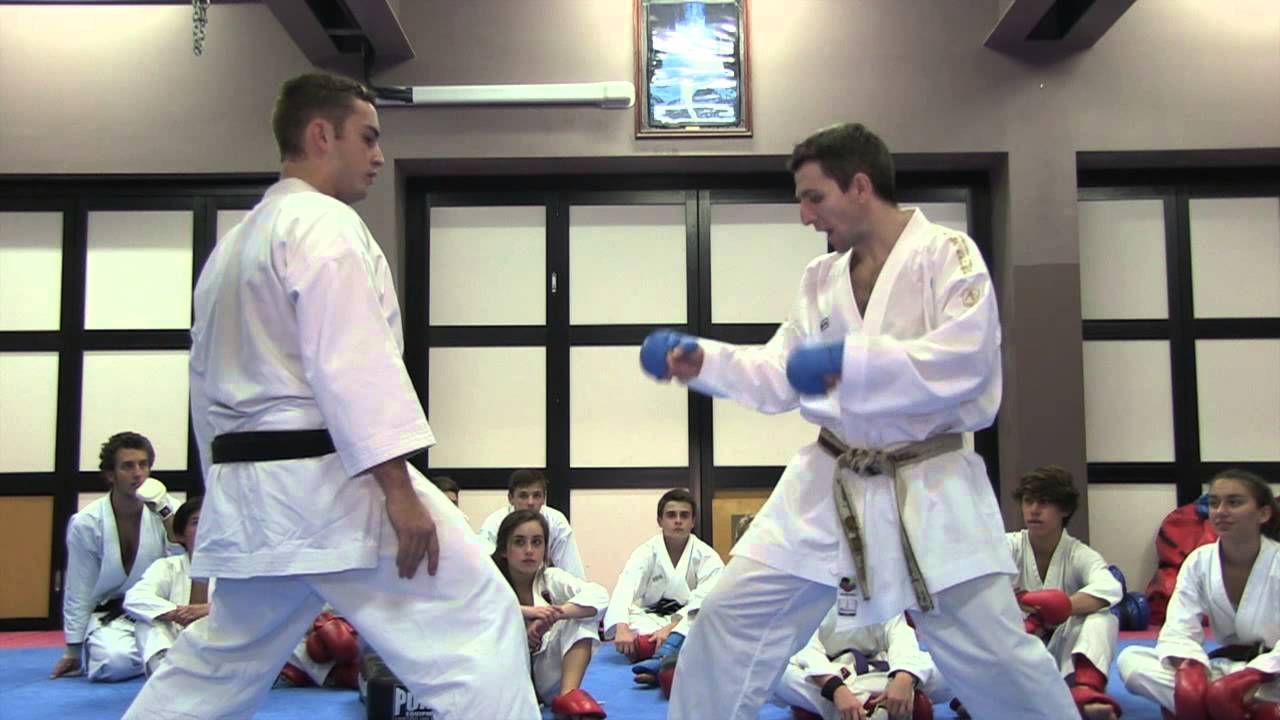 ETTINGSHAUSENS Karate with Ray Morcomb