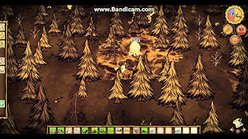 How to Destroy a Spider Nest - Don