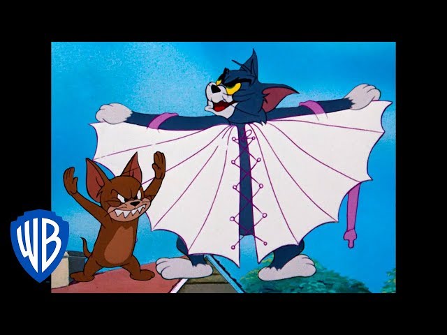 Tom & Jerry | Tom the Cat or Tom the Bird | WB Kids