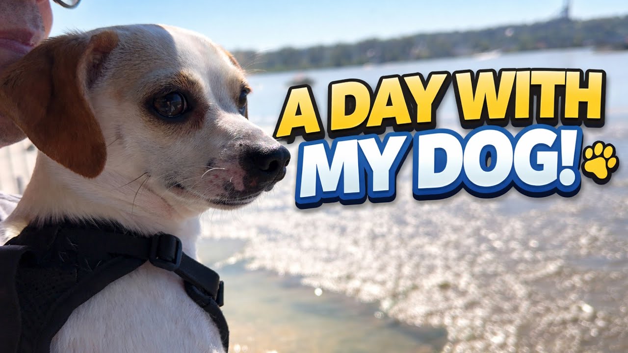 Karen at New Westminster - YouTube