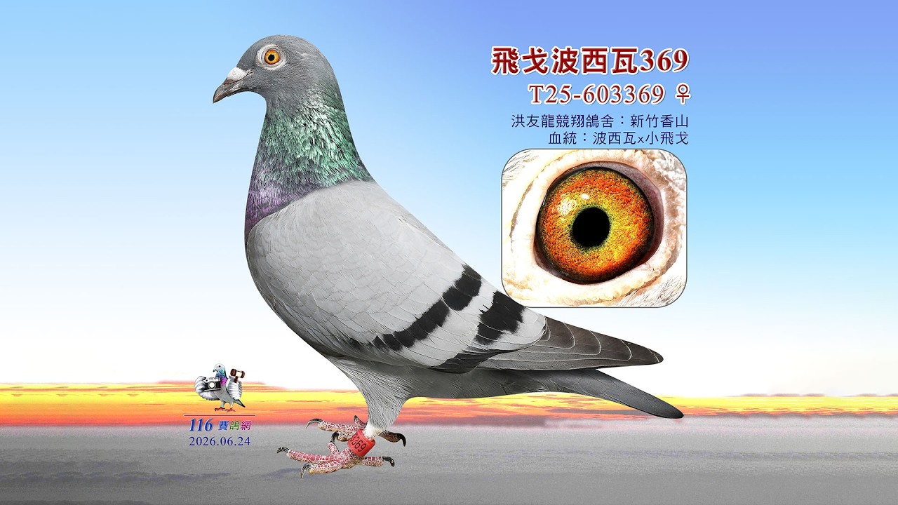 洪友龍】T25-603369 - YouTube