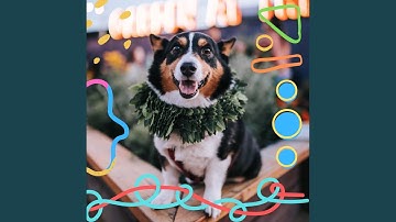 Pulsating Happy Dogs