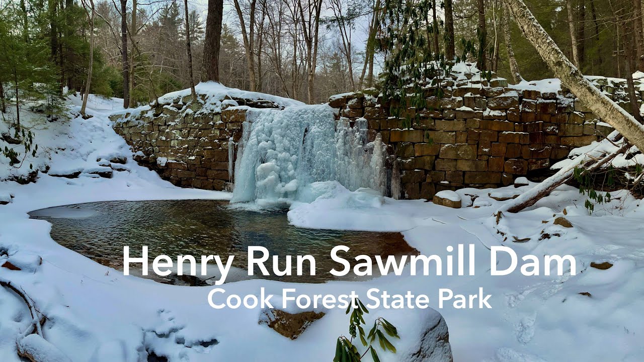 Winter Hiking to Henry Run Sawmill Dam (River Trail) at Cook Forest