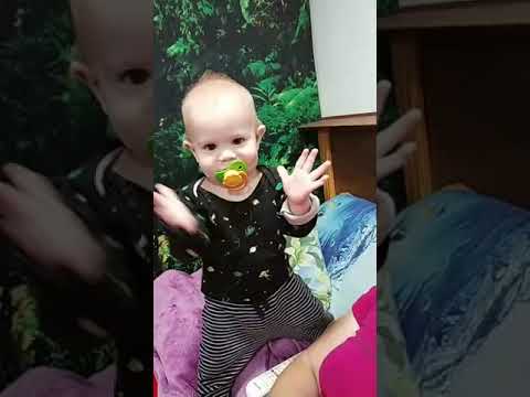 Семья Бровченко Новые Видео 2022 Года