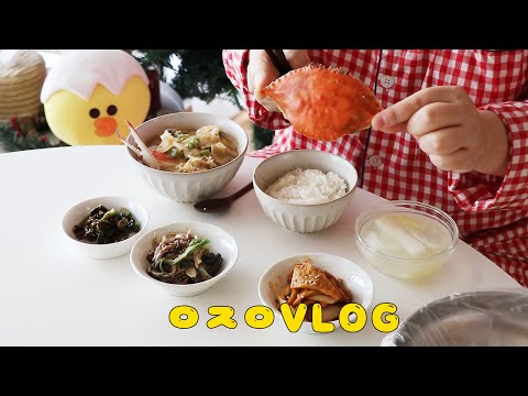 VLOG  자취생 브이로그에서 엄마가 느껴진다..보글보글 꽃게탕🦀(집밥 ,쭈삼불고기,깻잎날치알쌈,비빔만두 ,갈치조림 ,<strong>홍합탕</strong> ,인절미와플 ,참외 ,반찬) ENG SUB