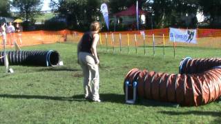 20110828 Agility Jahresmeister Efendi A1