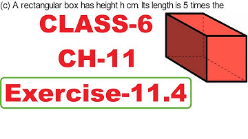 Class 6 maths | Algebra | Chapter 11 | Exercise 11.4