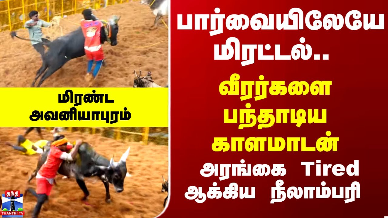 Avaniyapuram Jallikattu | வீரர்களை பந்தாடிய காளமாடன். .அரங்கை Tired ஆக்கிய நீலாம்பரி