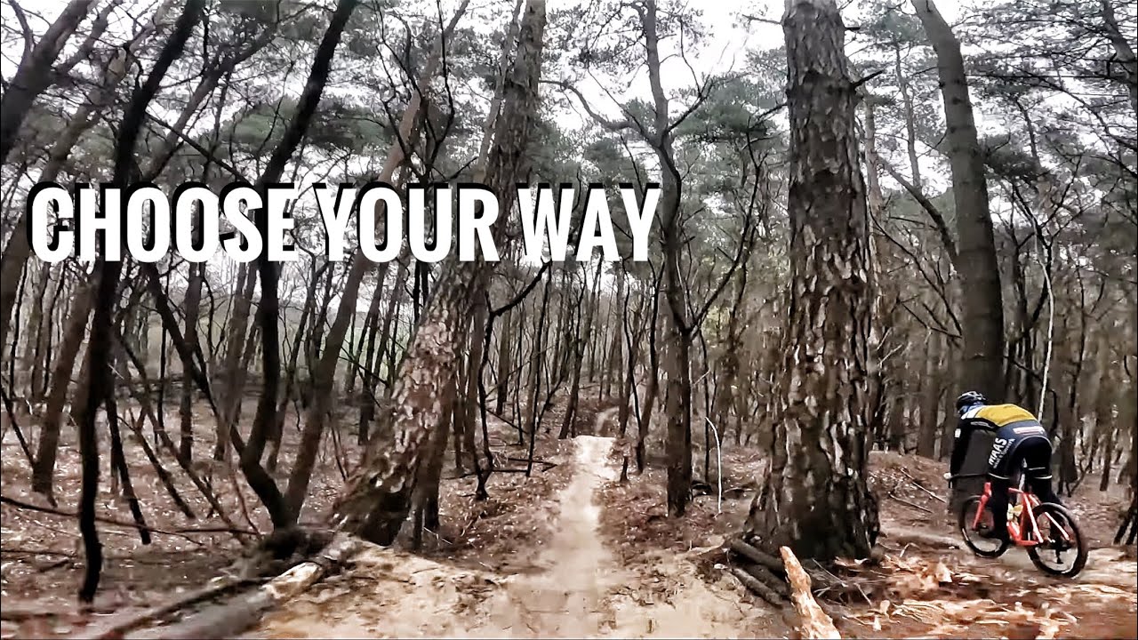 Mountainbike 🟣 PAARSE ROUTE Putte / Grenspark Kalmthoutse Heide | Ride My  Bike #2 - YouTube