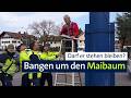 Holzbauexperte prüft Maibäume auf Standfestigkeit | Abendschau | BR24