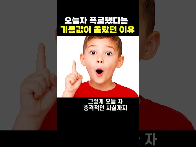 오늘자 폭로된 기름값이 올랐던 이유