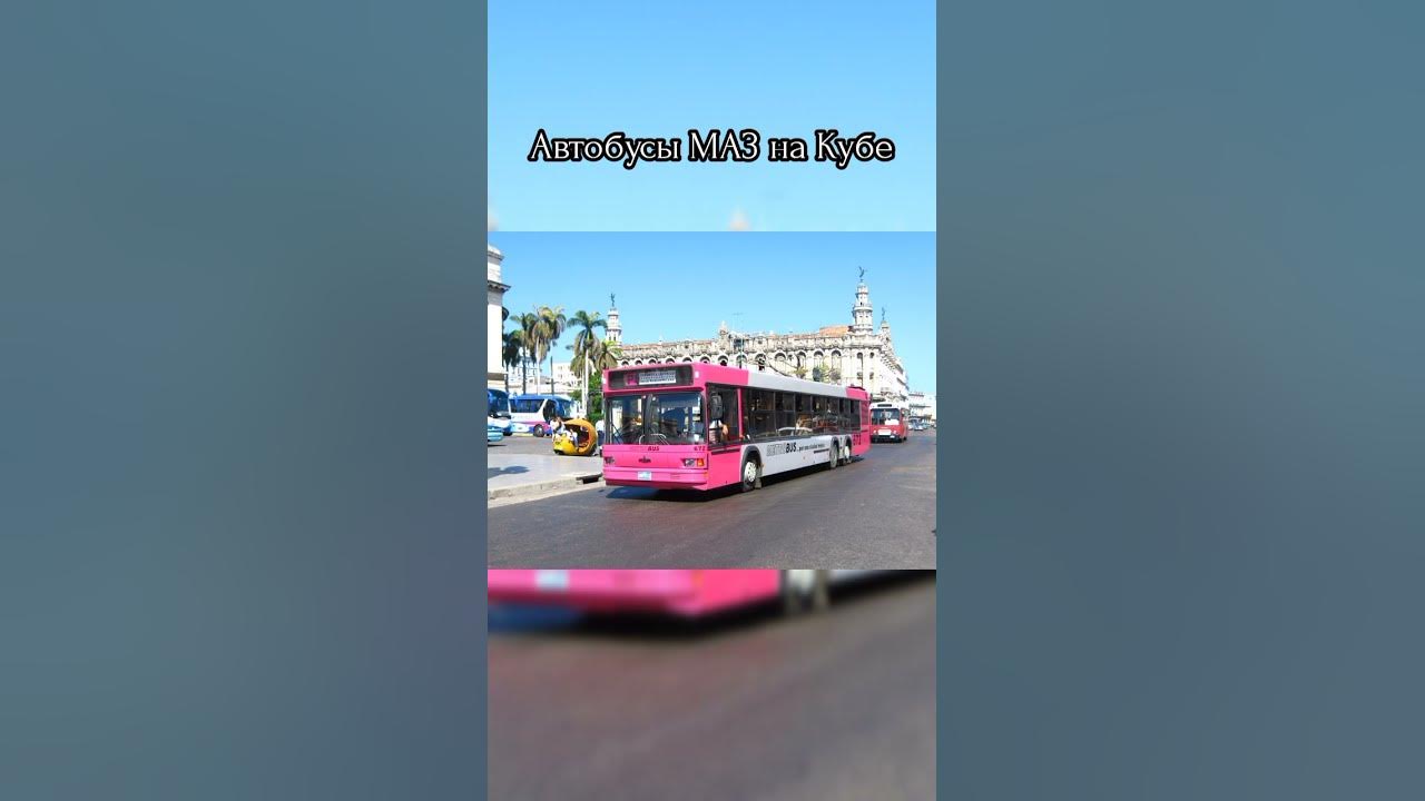 Автобусы МАЗ на Кубе #автобус #shorts #куба #маз - YouTube