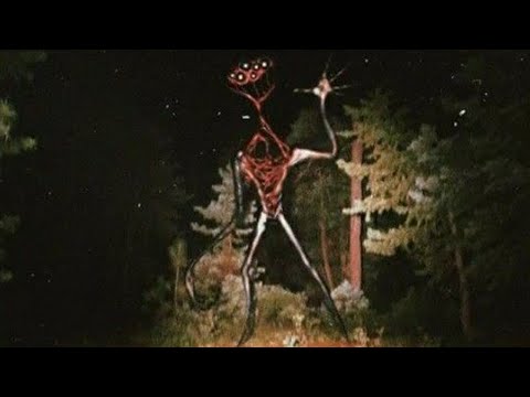Top 5 Disturbing