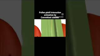 Pollen pistil interaction NEET 2025 & Class 12th