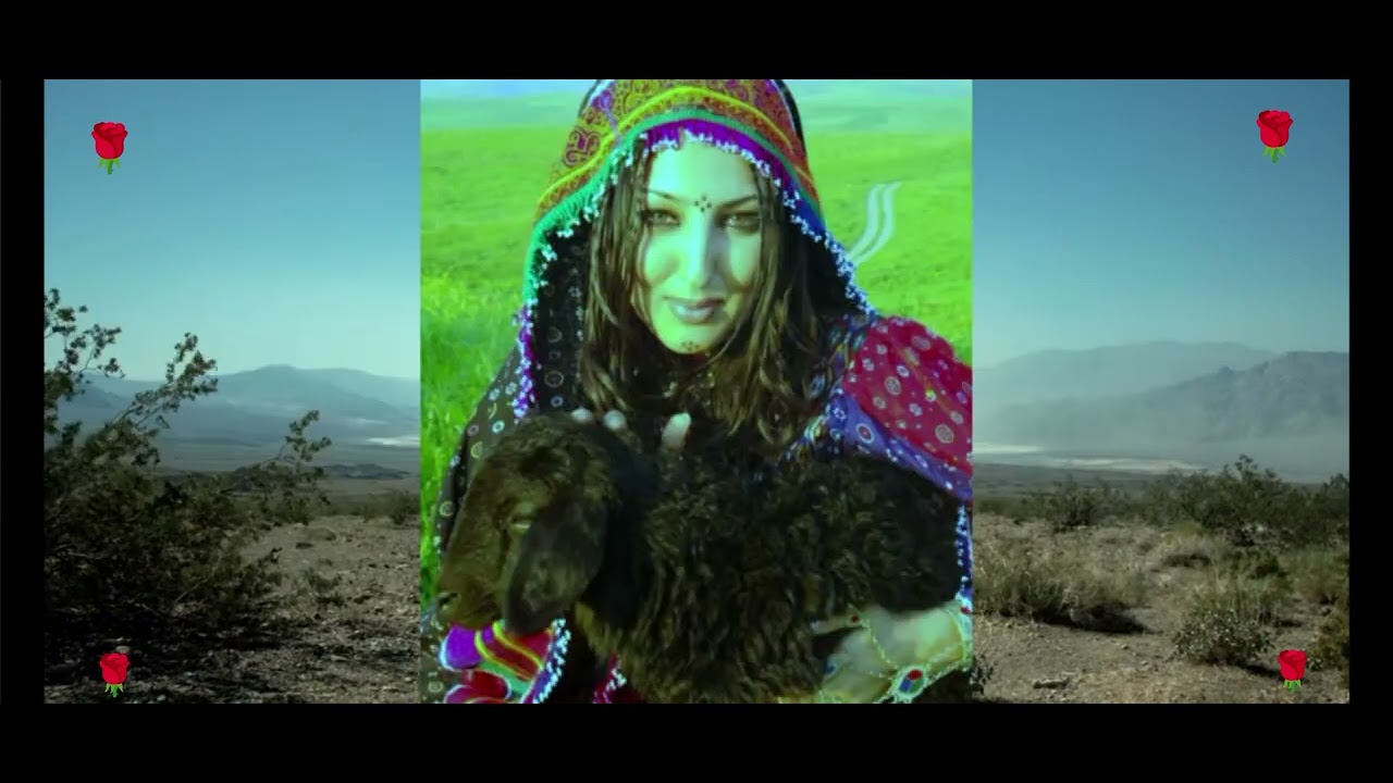 TWO LARGE GROUP OF PASHTUN TRIBE LIVE IN AFGHANISTAN AND PAKISTAN