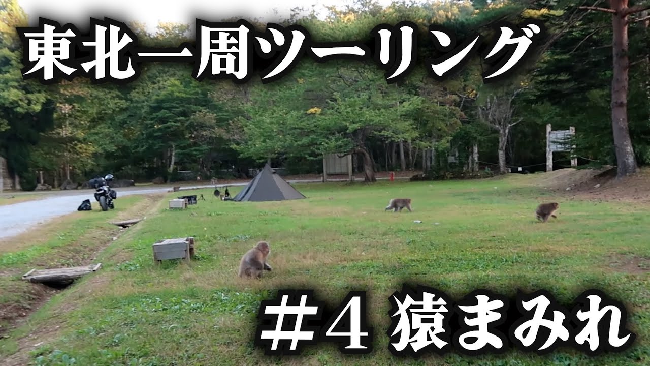 本州最北端のキャンプ場は猿だらけだった【東北一周キャンプツーリング】4日目 青森編