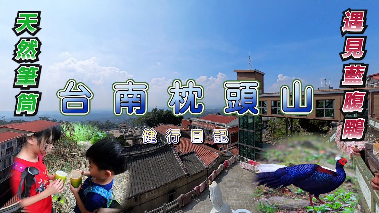 台南枕頭山#步道