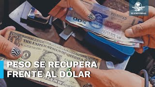 Precio del dólar abre en 16.91 pesos al mayoreo este miércoles