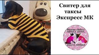 56. Свитер для таксы. Экспресс МК