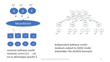 Multivariate twin models: the common pathway model
