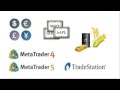 EA Builder Binary Options Best Forex EA In The World