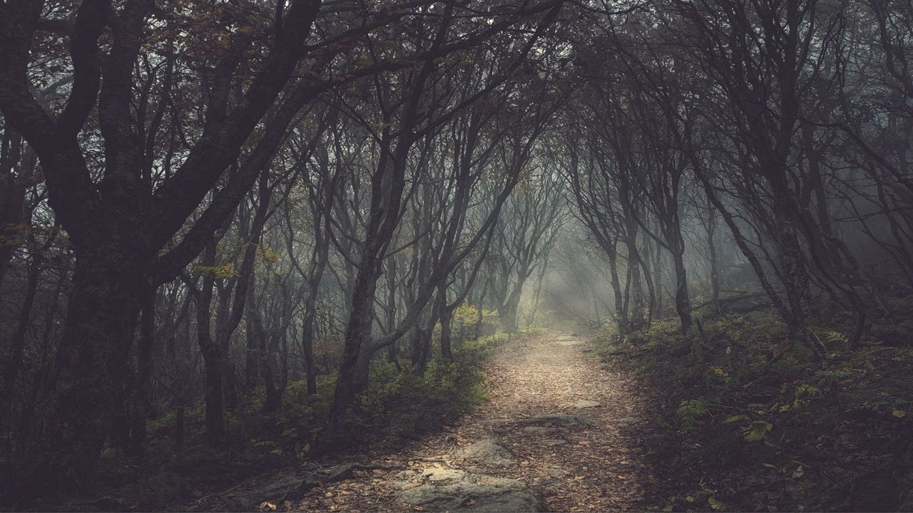 "Forest"- Mysterious Piano Music