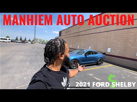 I FOUND A 2021 FORD MUSTANG SHELBY AT MANHEIM AUTO AUCTION | CAR AUCTION WALK AROUND + TEST DRIVE