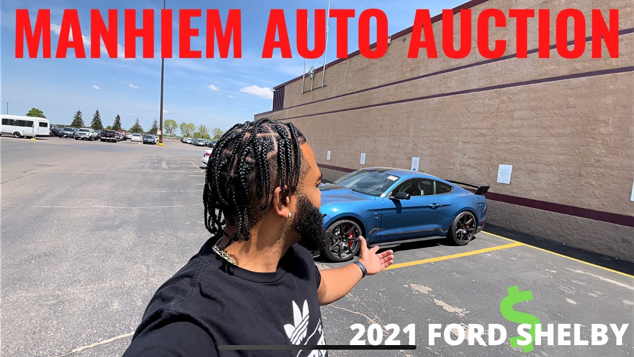 I FOUND A 2021 FORD MUSTANG SHELBY AT MANHEIM AUTO AUCTION | CAR AUCTION WALK AROUND + TEST DRIVE