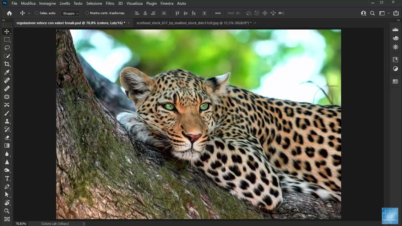 Photoshop regolazione veloce con Valori tonali in Lab
