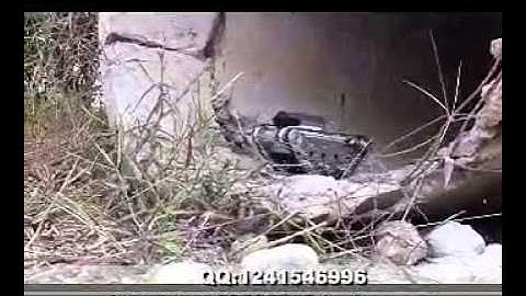 camera webcam tank small smart car chassis arduino raspberry pi diy kit