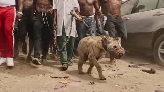 Casanova - 2AM ft. Tory Lanez, Davido.mp4