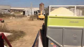 Rediger Farms Bagging high moisture corn