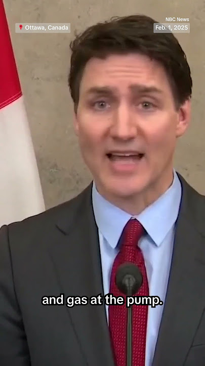 Canadian PM Justin Trudeau responds to U.S. importing tariffs against Canada and Mexico