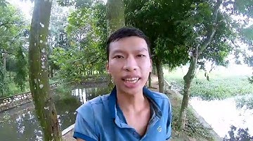 Ra Hồ Núi Le Test Mồi Ngũ Cốc Và Kết Quả Bất Ngờ P2 Nhí CuTe