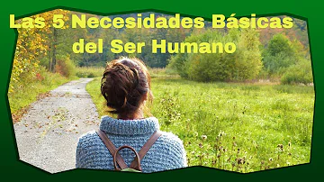 ¿Cuáles son las 5 necesidades del ser humano?