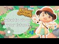 What To Do On Your Animal Crossing: New Horizons Island EVERYDAY!┃My Daily Routine┃Tips & Tricks!