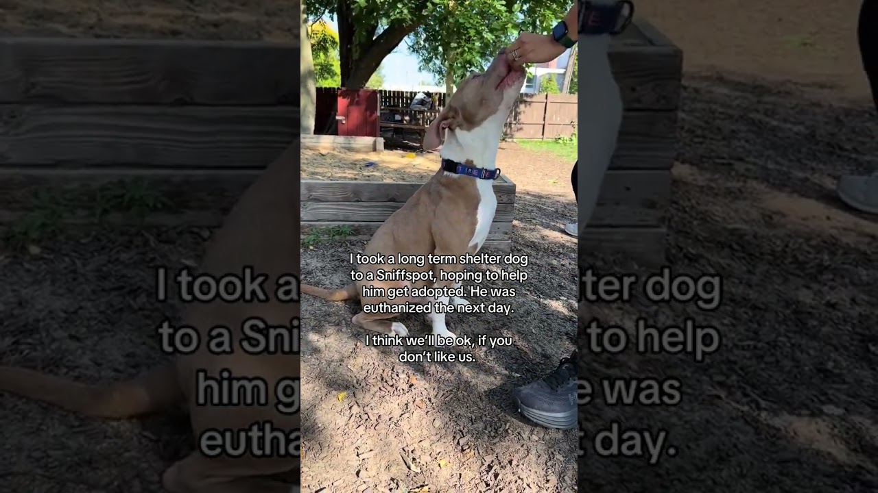 Still glad he got to experience a sniffspot 😫❤️