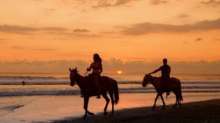 Horse riding Taghazout