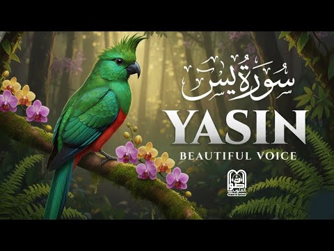Surah Yaseen (Yasin) | Most Beautiful Recitation | Emotional & Soothing