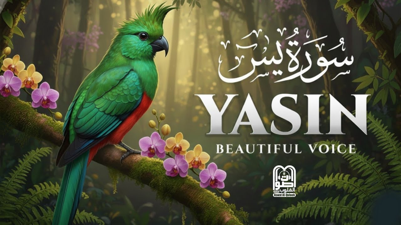 Surah Yaseen (Yasin) | Most Beautiful Recitation | Emotional & Soothing