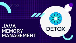 Java Memory Management | Detox Shield